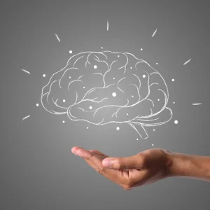 Principis bàsics de la intel·ligència emocional