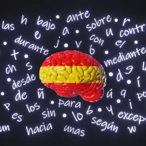 Comunicació en llengua castellana N2 2n itinerari