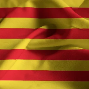 Comunicació en llengua catalana N2